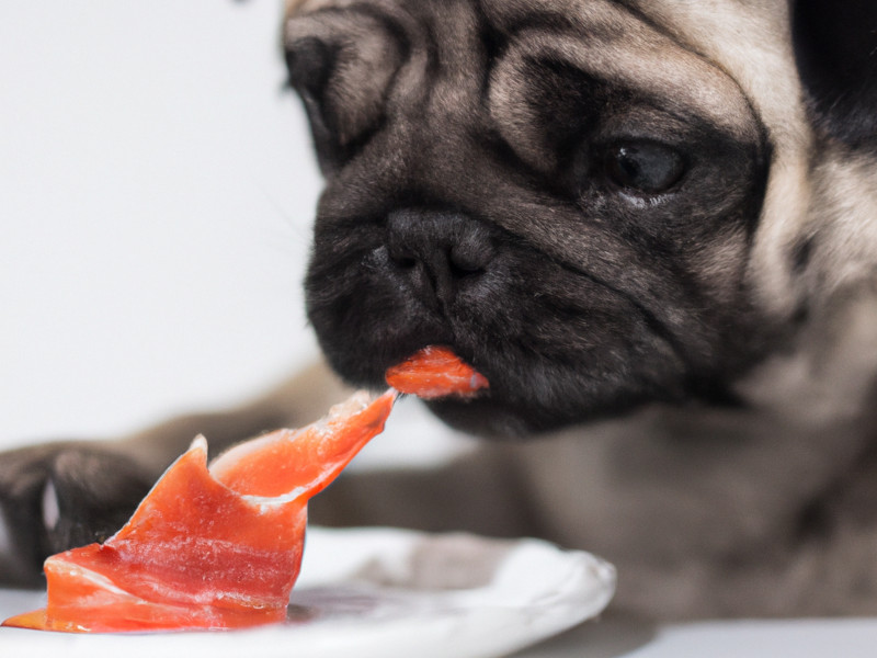 Pug eating uncooked fish from a white plate